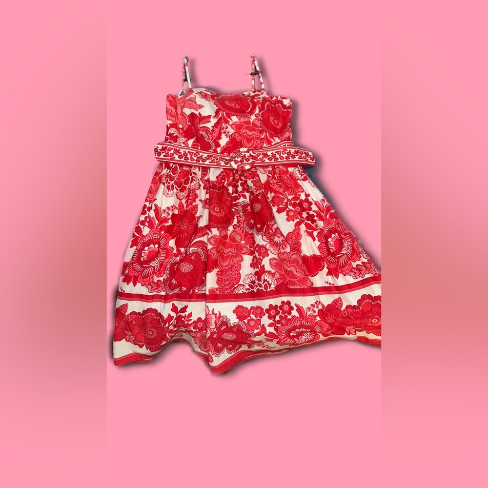 Joie Pink Red and White Floral Dress
